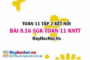 Bài 8.16 SGK Toán 11 Tập 2 Kết nối tri thức
